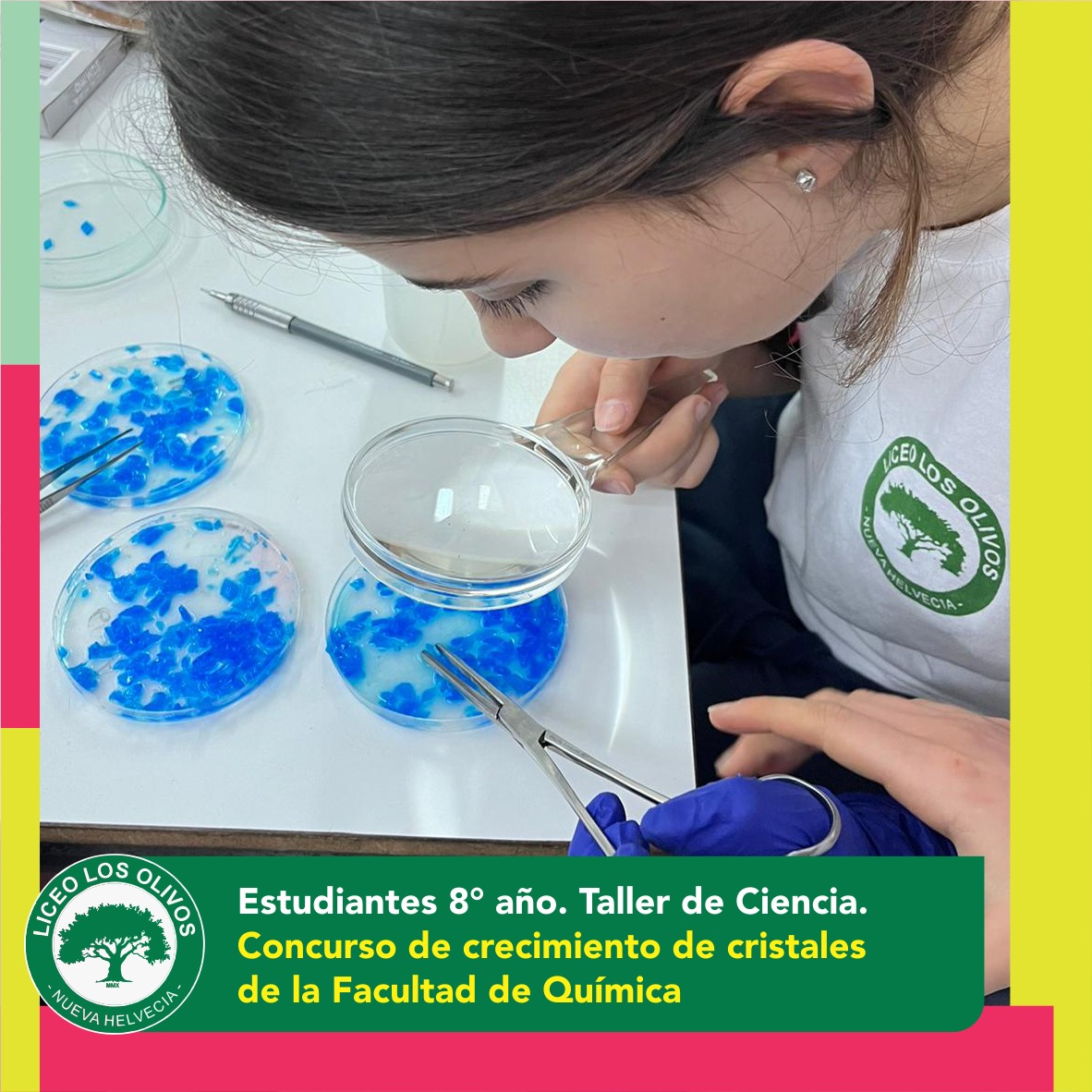 Taller de Ciencia